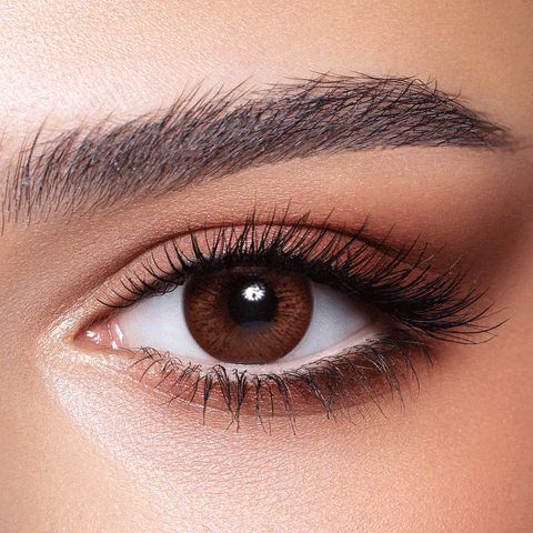 Cinnamon Brown Cinnamon Brown
