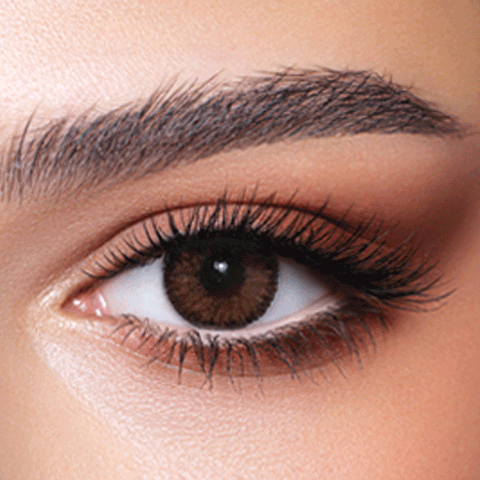 Contour Hazel Contour Hazel