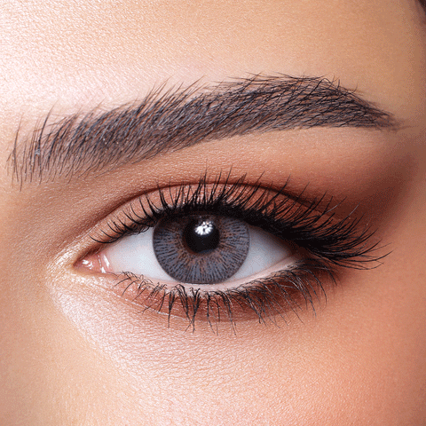 سيلكي جراي سيلكي جراي